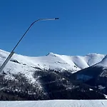 Oswald - Surrounded By Nature *