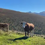 Oswald - Surrounded By Nature Apartmán *