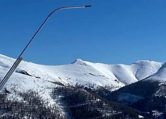 Oswald - Surrounded By Nature *