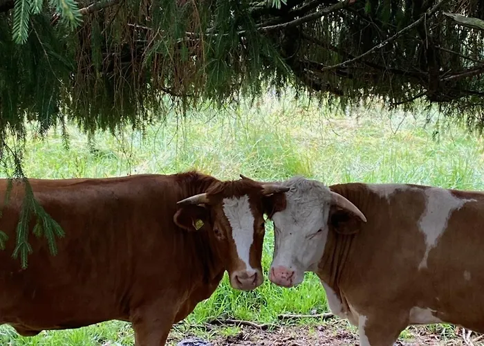Oswald - Surrounded By Nature Apartment *