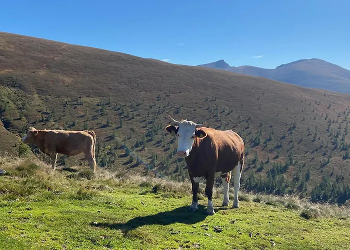 Oswald - Surrounded By Nature Apartamento *